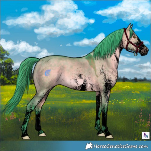 Horse Color:Void Watercolor White Spotted Brown Dun 