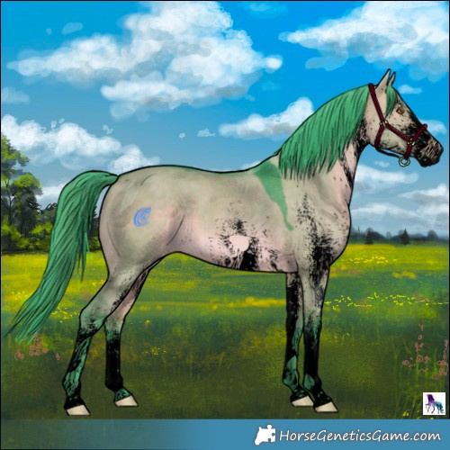 Horse Color:Void Watercolor White Spotted Brown Dun 