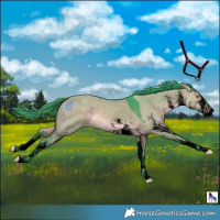 Horse Color:Void Watercolor White Spotted Brown Dun