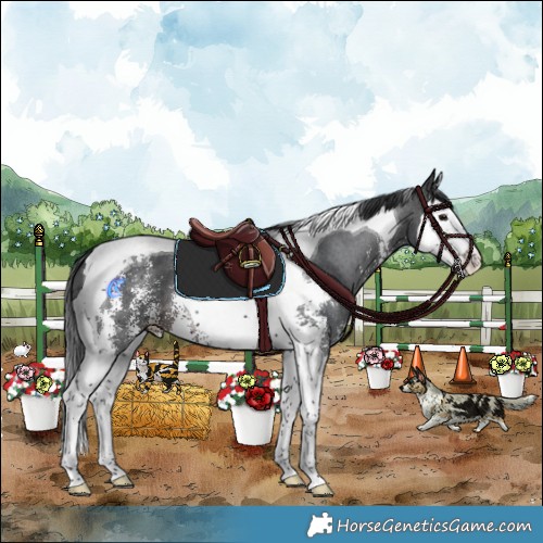 Horse Color:Brown Sabino Splash Tobiano 