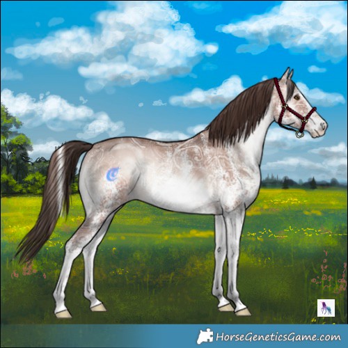 Horse Color:White Spotted Sable Champagne Ice Onyx Mushroom Rabicano