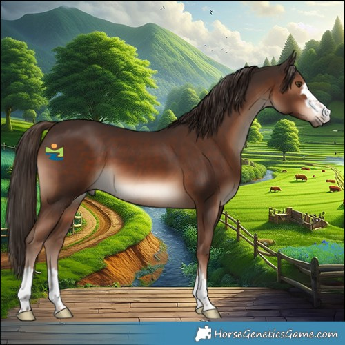 Horse Color:Liver Chestnut 