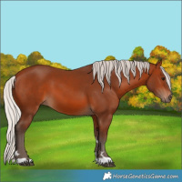 Horse Color:Silver Brown 