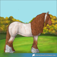 Horse Color:Red Roan Tobiano 