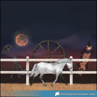 Horse Color:Gray White Spotted Silver Brown Tobiano Blanket