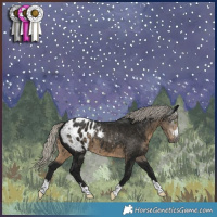 Horse Color:Gray Silver Smoky Black Blanket 