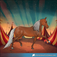 Horse Color:Silver Bay 