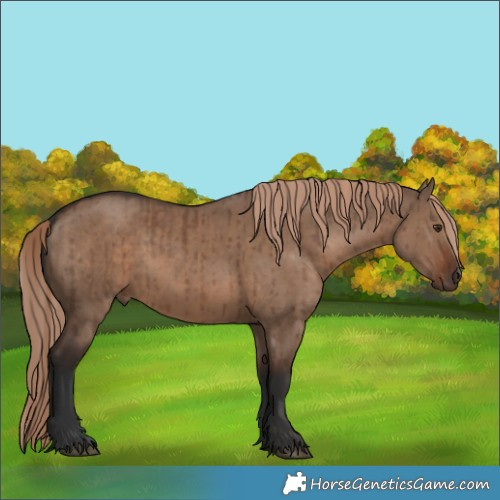 Horse Color:Liver Red Dun Brindle