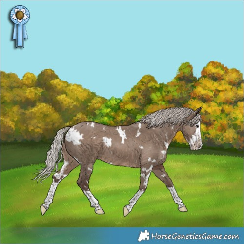 Horse Color:White Spotted Silver Grullo Splash 
