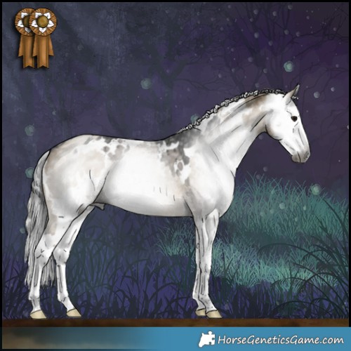 Horse Color:Gray White Spotted Grullo Splash Brindle  and Gray White Spotted Silver Smoky Grullo Splash 