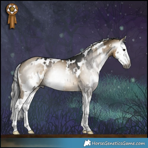 Horse Color:Gray White Spotted Grullo Splash Brindle  and Gray White Spotted Silver Smoky Grullo Splash 