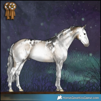 Horse Color:Gray White Spotted Grullo Splash Brindle  and Gray White Spotted Silver Smoky Grullo Splash 