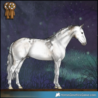 Horse Color:Gray White Spotted Grullo Splash Brindle and Gray White Spotted Silver Smoky Grullo Splash