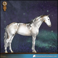 Horse Color:Gray White Spotted Grullo Splash Brindle and Gray White Spotted Silver Smoky Grullo Splash