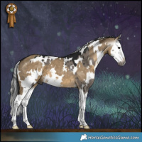 Horse Color:Gray White Spotted Grullo Splash Brindle and Gray White Spotted Silver Smoky Grullo Splash