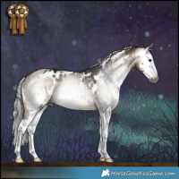 Horse Color:Gray White Spotted Grullo Splash Brindle and Gray White Spotted Silver Smoky Grullo Splash