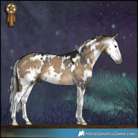 Horse Color:Gray White Spotted Grullo Splash Brindle  and Gray White Spotted Silver Smoky Grullo Splash 