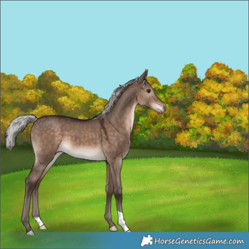 Horse Color:Silver Brown Dun Mushroom 