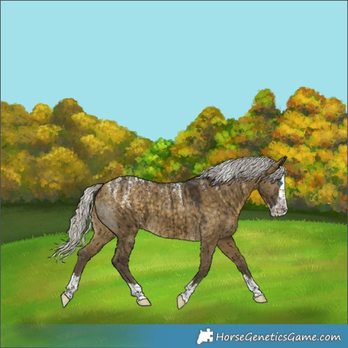 Horse Color:Powder White Silver Buckskin Dun Splash Brindle 