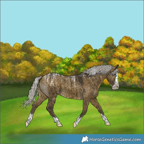 Horse Color:Powder White Silver Buckskin Dun Splash Brindle 