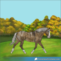 Horse Color:Powder White Silver Buckskin Dun Splash Brindle