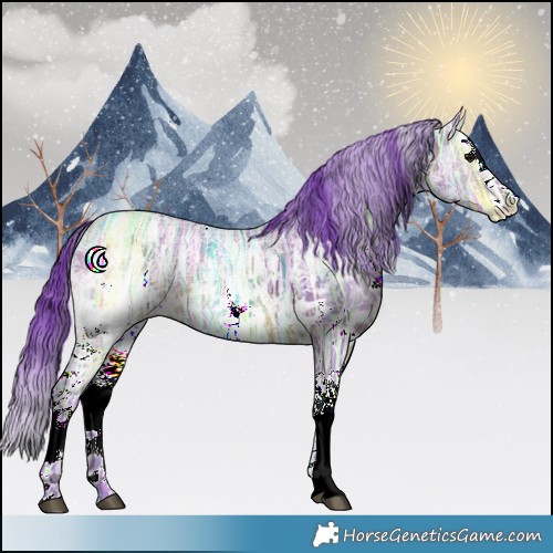 Horse Color:Watercolor White Spotted Brown Ice Splash Rabicano