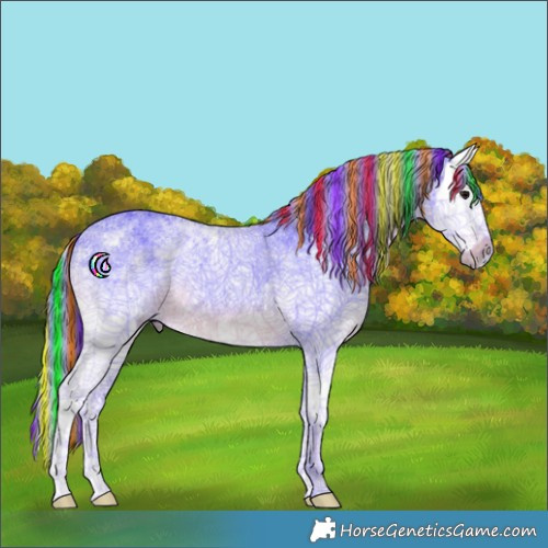 Horse Color:Painted Watercolor White Spotted Smoky Black Splash 