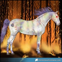 Horse Color:Nacre Watercolor White Spotted Buckskin 