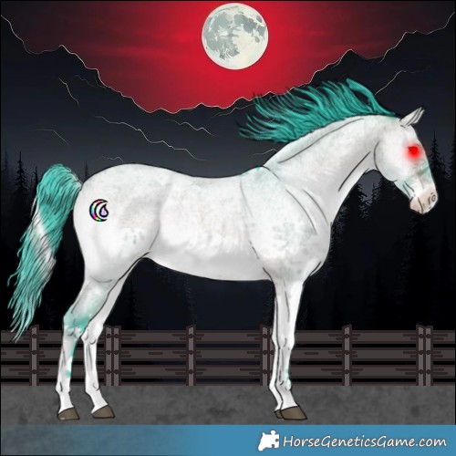 Horse Color:Watercolor White Spotted Bay Roan Onyx