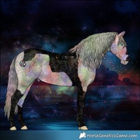 Horse Color:Void Nacre Watercolor Perlino Tobiano