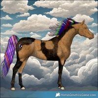 Horse Color:Void Painted Palomino Tobiano 