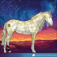 Horse Color:Watercolor Palomino Ice 