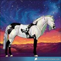 Horse Color:Void Painted Cremello Ice Tobiano 