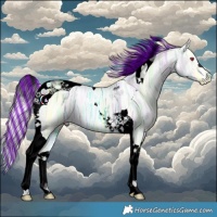 Horse Color:Void Painted Cremello Chinchilla Ice Tobiano