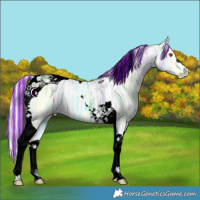 Horse Color:Void Painted Cremello Chinchilla Ice Tobiano