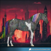 Horse Color:Painted Midnight Buckskin Ice Tobiano 