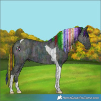 Horse Color:Painted Midnight Buckskin Ice Tobiano