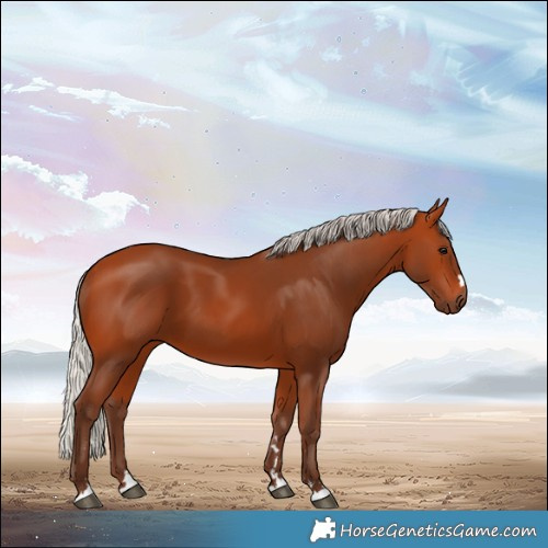 Horse Color:Silver Bay