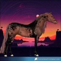 Horse Color:Void Painted Bay Tobiano 