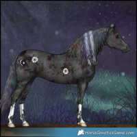 Horse Color:Nacre Midnight Black Ice 