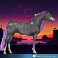 Horse Color:Painted Watercolor Midnight Silver Grullo Ice