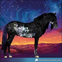 Horse Color:Void Watercolor White Spotted Black Ice Splash