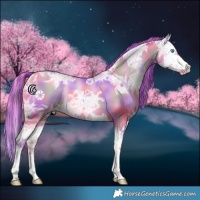 Horse Color:Painted Nacre Buckskin Ice Pearl Splash 