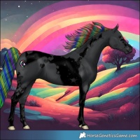 Horse Color:Void Painted Black Tobiano 