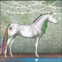 Horse Color:Painted White Spotted Bay Chinchilla Tobiano 