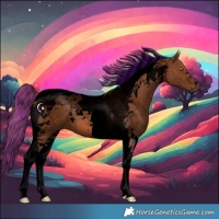 Horse Color:Void Painted Chestnut Tobiano 