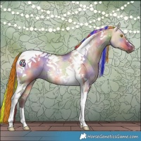 Horse Color:Painted Nacre Bay Dun Tobiano Rabicano 