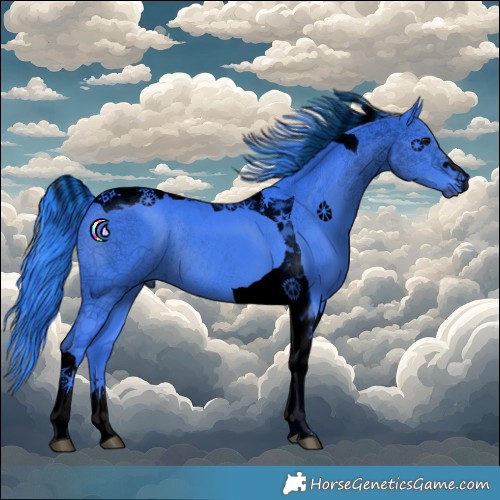 Horse Color:Void Painted Watercolor Black Tobiano Rabicano 