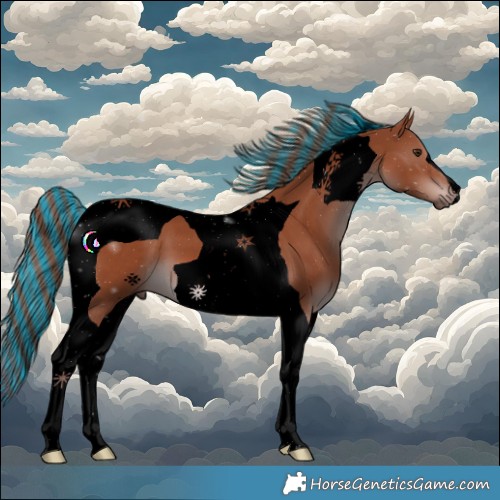 Horse Color:Void Painted Chestnut Tobiano 