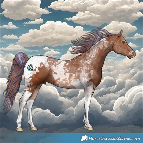 Horse Color:Painted Chestnut Tobiano